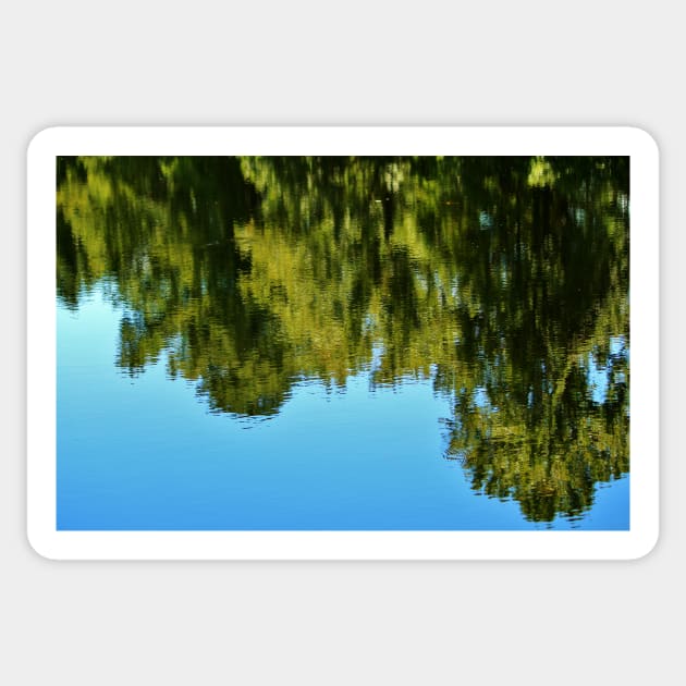 Reflections Of Nature Sticker by Cynthia48